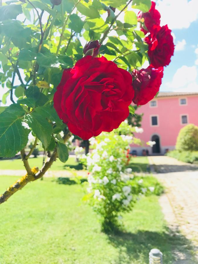 Villa Antico Borgo De Romolini à Sansepolcro Extérieur photo